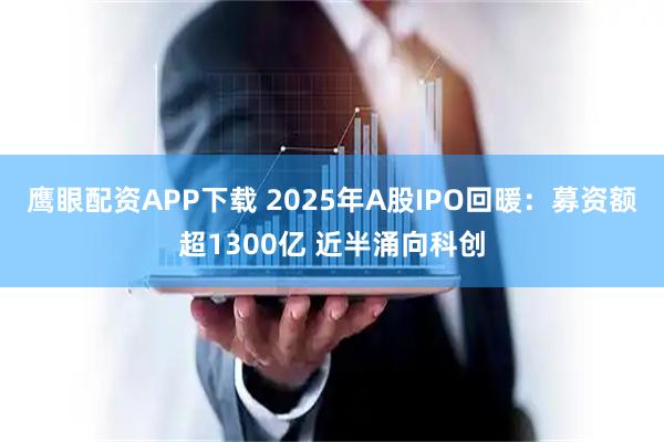鹰眼配资APP下载 2025年A股IPO回暖：募资额超1300亿 近半涌向科创