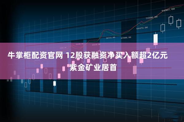 牛掌柜配资官网 12股获融资净买入额超2亿元     紫金矿业居首