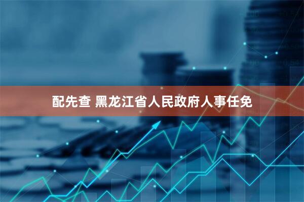 配先查 黑龙江省人民政府人事任免